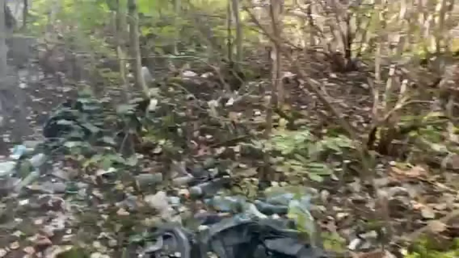 Maćkowa gruszka śmieci przy DK91.mp4