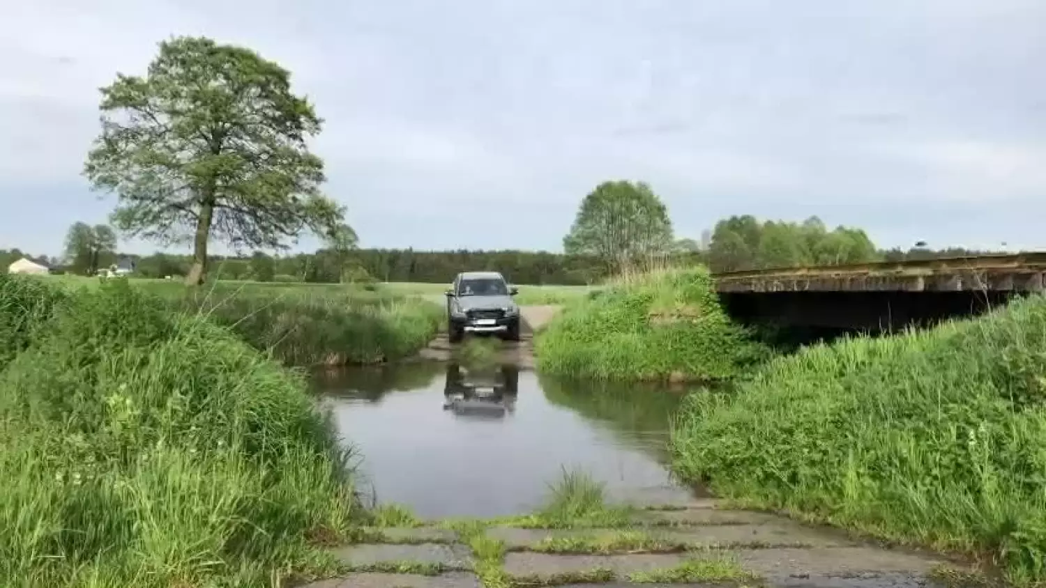 raptor-rzeka.mp4